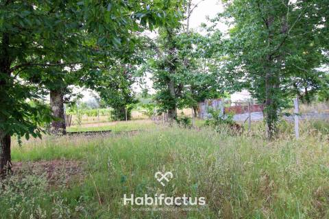 Terreno ao lado do Pingo Doce de Tondela