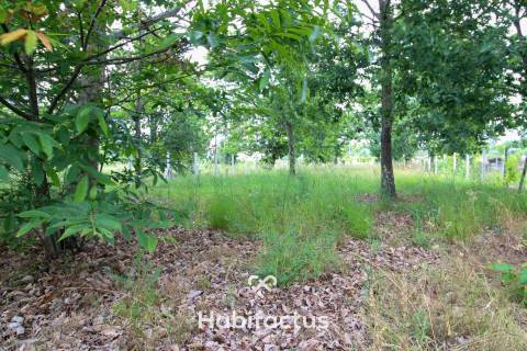 Terreno ao lado do Pingo Doce de Tondela