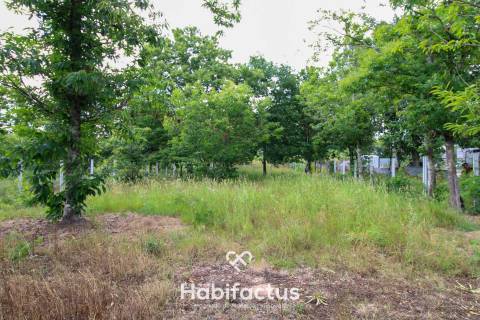 Terreno ao lado do Pingo Doce de Tondela