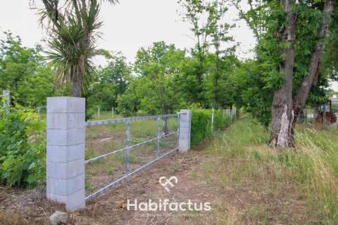 Terreno ao lado do Pingo Doce de Tondela