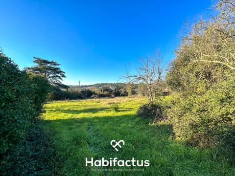 Terreno com projecto aprovado para loteamento de 20 moradias isoladas.
