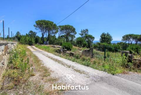 Terreno com 2000 m2 - São João de Lourosa