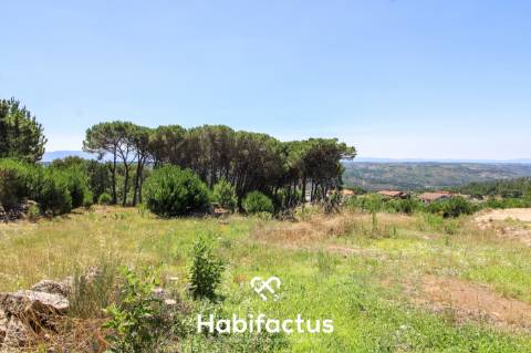 Terreno com 2000 m2 - São João de Lourosa