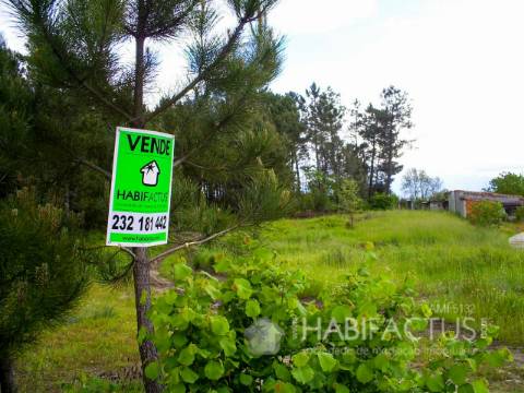 Terreno Rústico  Venda em Mangualde, Mesquitela e Cunha Alta,Mangualde