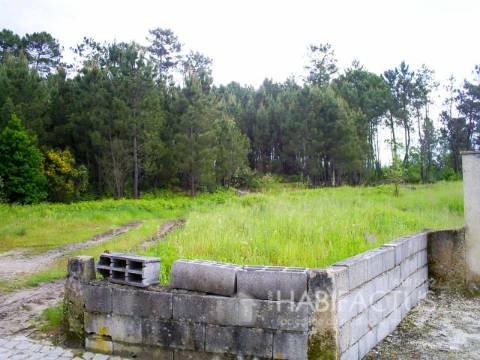 Terreno Rústico  Venda em Mangualde, Mesquitela e Cunha Alta,Mangualde