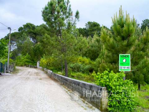 Terreno Rústico  Venda em Mangualde, Mesquitela e Cunha Alta,Mangualde