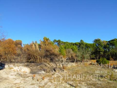 Terreno Rústico  Venda em Cunha Baixa,Mangualde