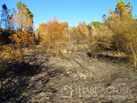 Terreno Rústico  Venda em Cunha Baixa,Mangualde