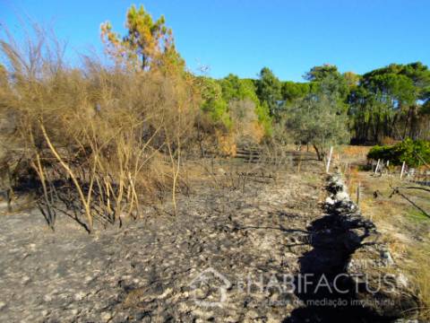 Terreno Rústico  Venda em Cunha Baixa,Mangualde