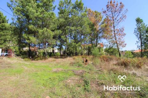 Lote de Terreno  Venda em Tavares (Chãs, Várzea e Travanca),Mangualde