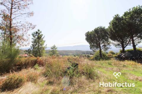 Lote de Terreno  Venda em Tavares (Chãs, Várzea e Travanca),Mangualde