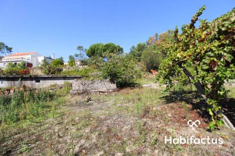 Lote de Terreno  Venda em Tavares (Chãs, Várzea e Travanca),Mangualde