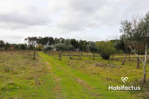 Terreno com vista incrível para a Serra da Estrela