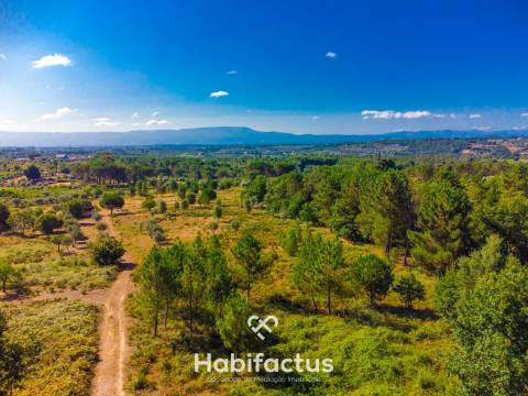 Terreno com vista incrível para a Serra da Estrela