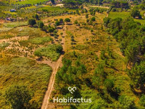 Terreno com vista incrível para a Serra da Estrela