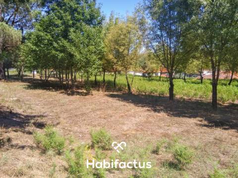 Quinta com casa senhorial brasonada em granito - Viseu