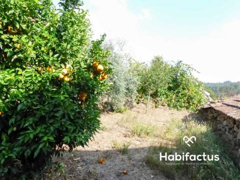 Moradia para reconstrução a 15 minutos de Viseu.