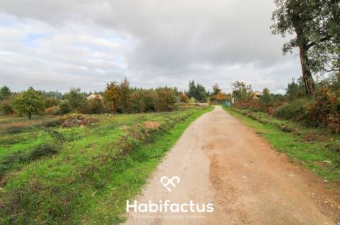 Terreno com a área de 7330m2 - Tondela