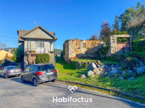 Quinta para venda com 16 000m2 - Viseu