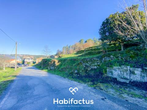 Quinta para venda com 16 000m2 - Viseu