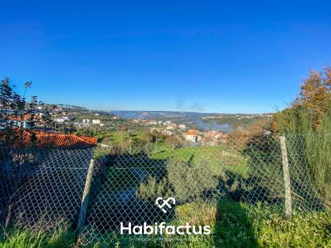 Quinta para venda com 16 000m2 - Viseu