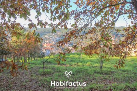 Terreno com Vistas Desafogadas a 5 Minutos de Viseu