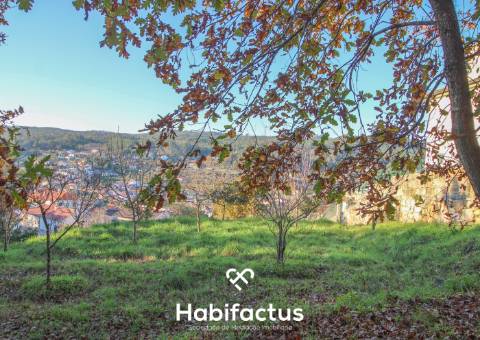 Terreno com Vistas Desafogadas a 5 Minutos de Viseu