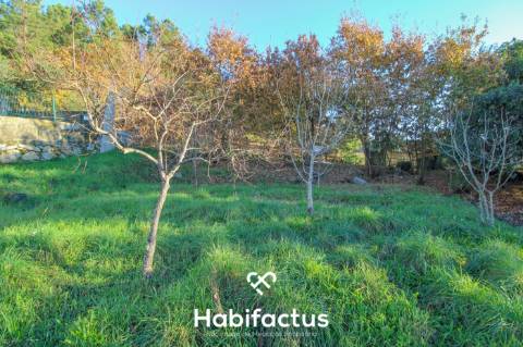 Terreno com Vistas Desafogadas a 5 Minutos de Viseu