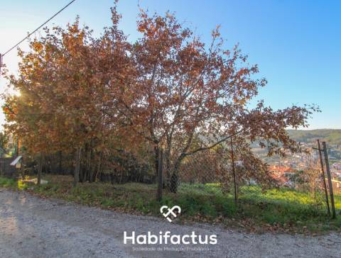 Terreno com Vistas Desafogadas a 5 Minutos de Viseu