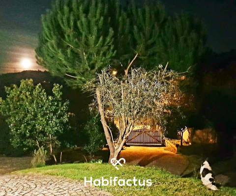 Quinta majestosa com cerca de 18.000 metros quadrados em Viseu