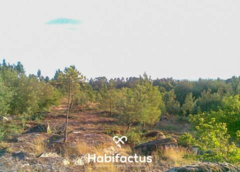 Terreno Rústico para venda em Mundão