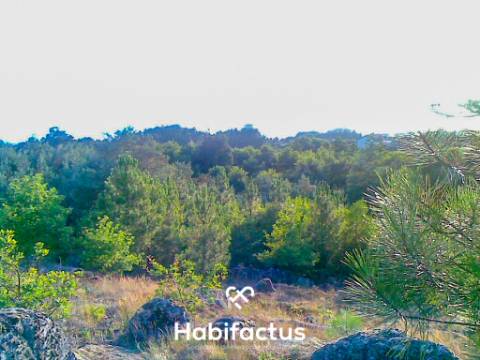 Terreno Rústico para venda em Mundão