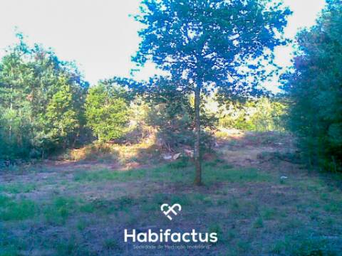 Terreno Rústico para venda em Mundão