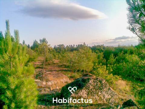 Terreno Rústico para venda em Mundão