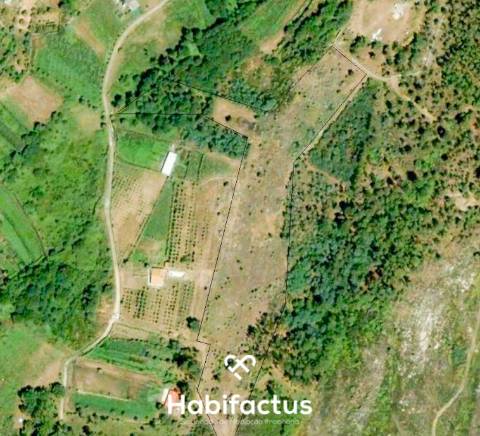 Terreno Rústico para venda em Mundão