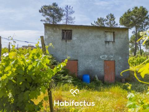 Oportunidade Única: Quinta Excepcional com Vinha de Castas Selecionadas à Venda entre Nelas e Mangua