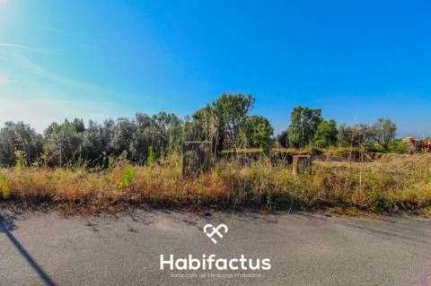 Lote para construção de moradia em banda - Nelas