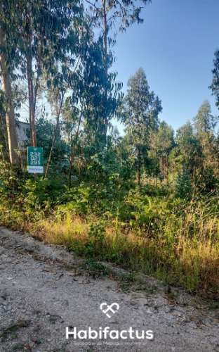 Terreno Rústico à Venda na Zona Industrial de Mortágua
