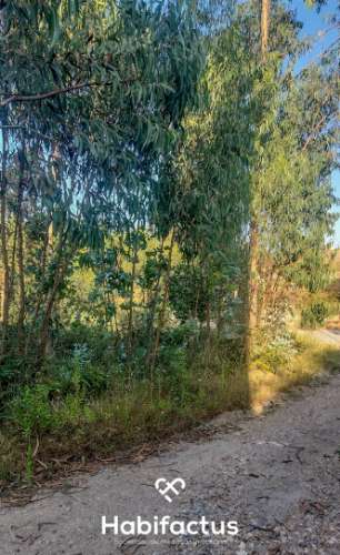 Terreno Rústico à Venda na Zona Industrial de Mortágua