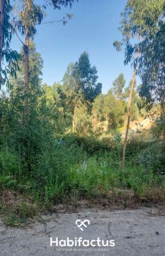 Terreno Rústico à Venda na Zona Industrial de Mortágua
