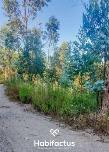 Terreno Rústico à Venda na Zona Industrial de Mortágua