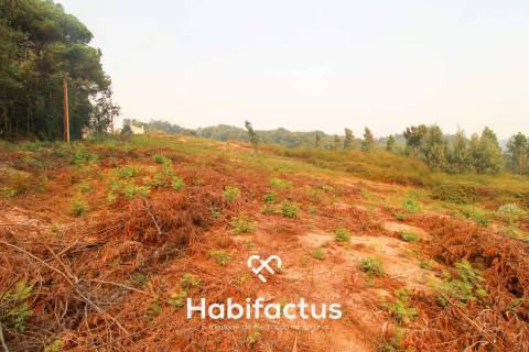 Terreno Urbano de 3670m2 em Santa Comba dão