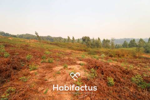 Terreno Urbano de 3670m2 em Santa Comba dão
