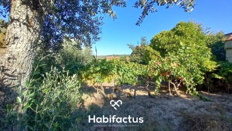 Moradia em Pedra com Vista Deslumbrante sobre o Campo - Ortigueira