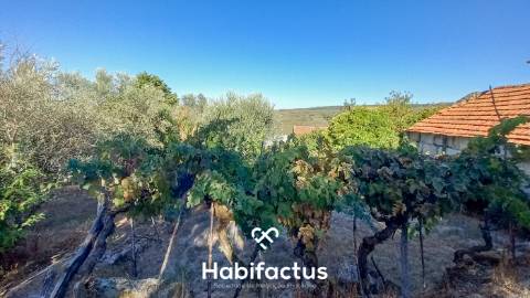 Moradia em Pedra com Vista Deslumbrante sobre o Campo - Ortigueira