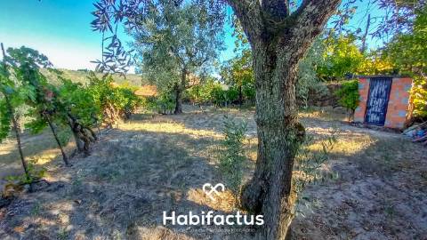 Moradia em Pedra com Vista Deslumbrante sobre o Campo - Ortigueira
