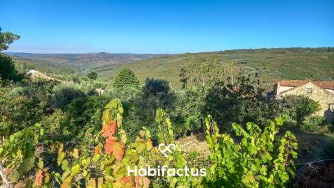 Moradia em Pedra com Vista Deslumbrante sobre o Campo - Ortigueira