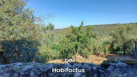 Moradia em Pedra com Vista Deslumbrante sobre o Campo - Ortigueira