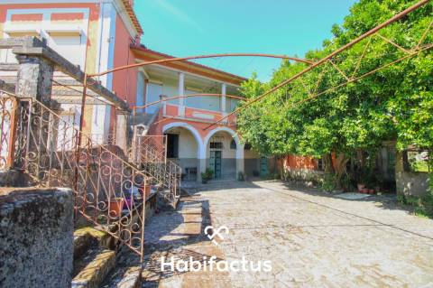 Quinta T6 de 1945 em Sabugosa - Tondela