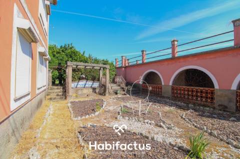 Quinta T6 de 1945 em Sabugosa - Tondela